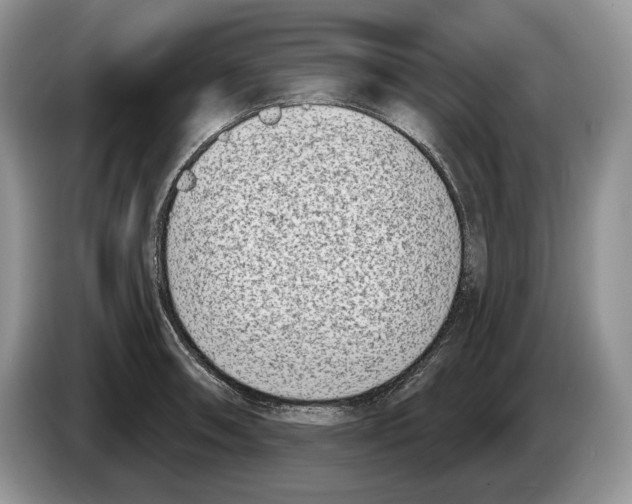 X0000086271090200704262011