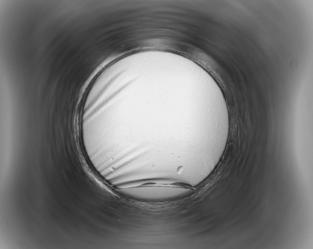 X0000086271092200704262011