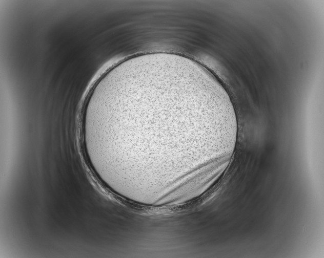X0000086271094200704262011