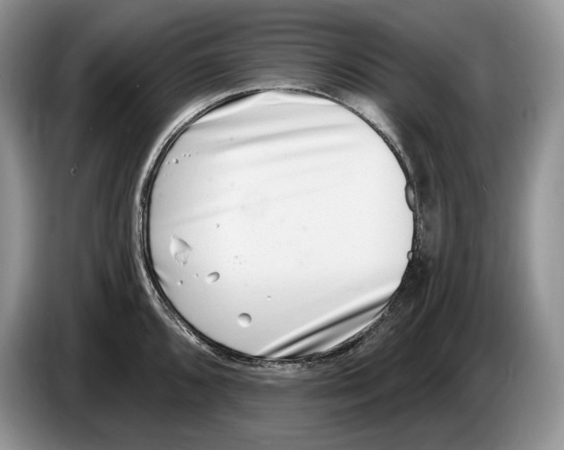 X0000086271096200704262011