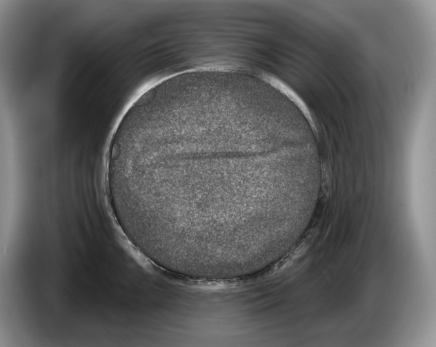 X0000086271099200704262011