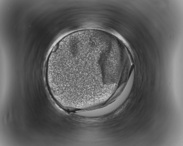 X0000086271102200704262011