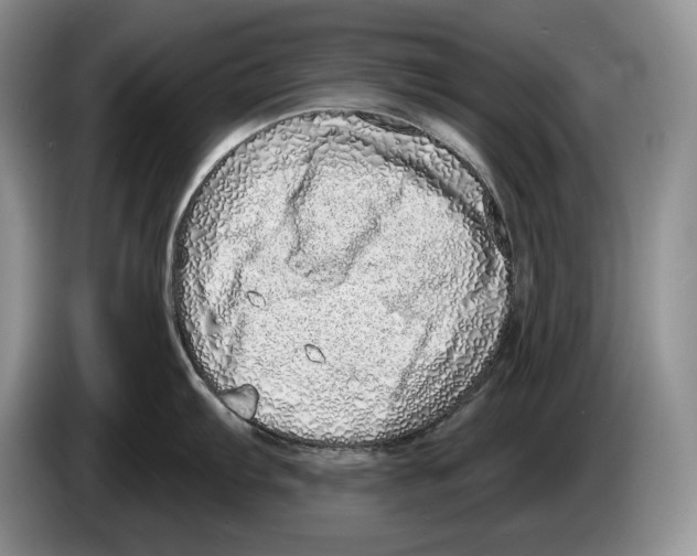 X0000086271103200704262011