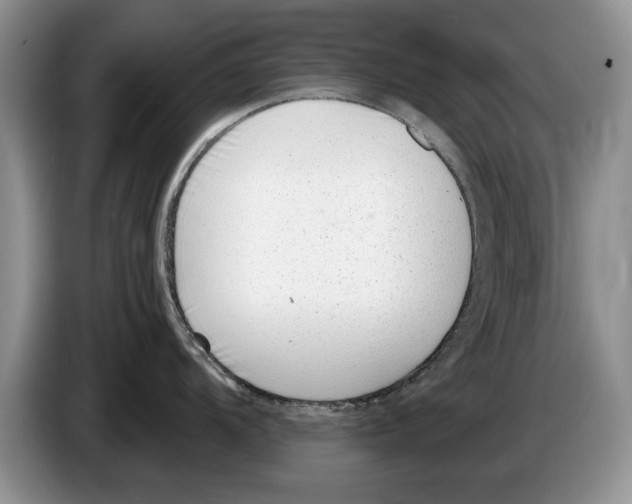 X0000086271104200704262011