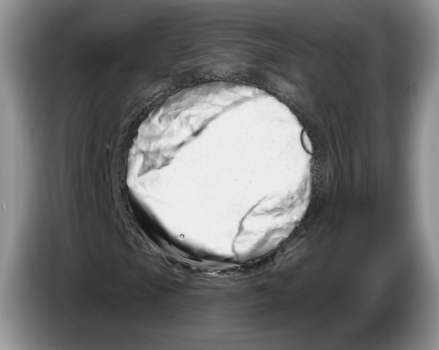 X0000086271105200704262010