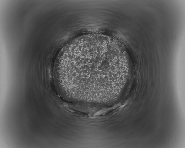 X0000086271106200704262010