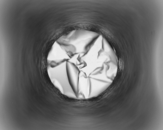 X0000086271107200704262010