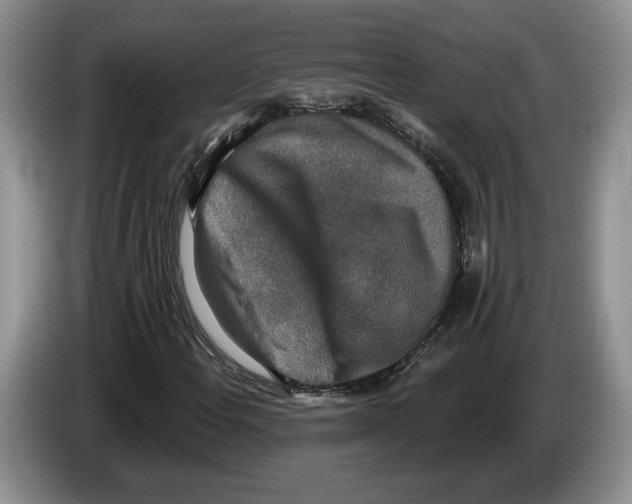 X0000086271108200704262010