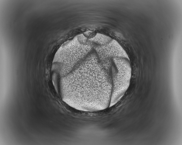 X0000086271109200704262010