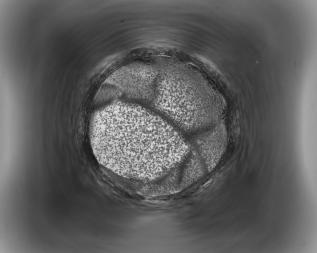 X0000086271110200704262010