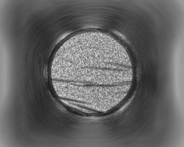 X0000086271113200704262010