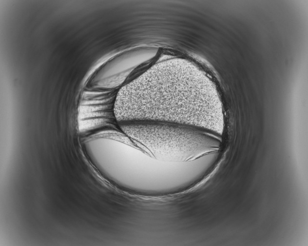 X0000086271114200704262010