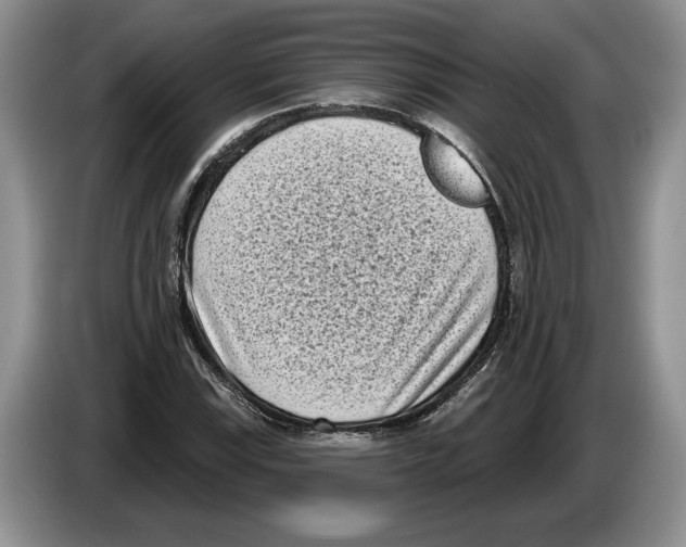X0000086271115200704262010