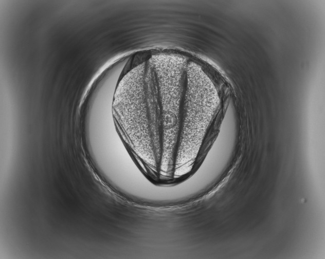 X0000086271118200704262011