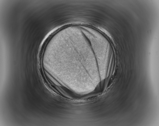 X0000086271120200704262011