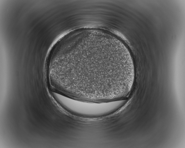 X0000086271122200704262011
