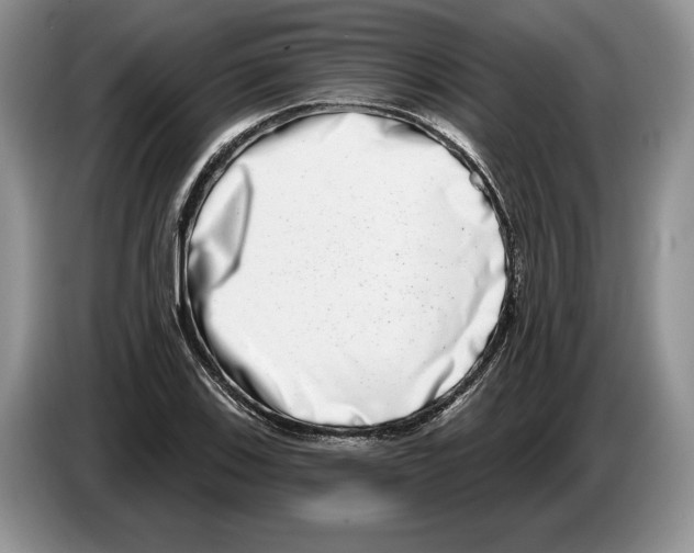 X0000086271123200704262011