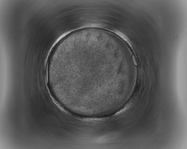 X0000086271127200704262011