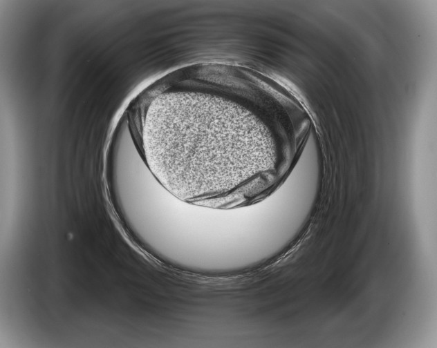 X0000086271128200704262011