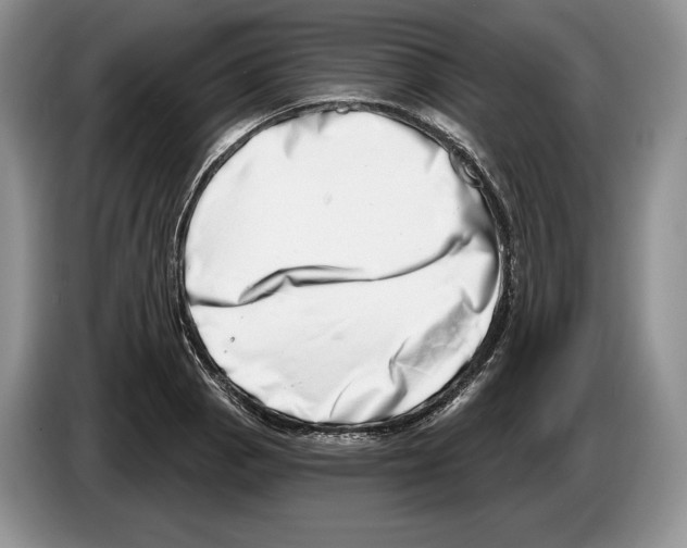 X0000086271129200704262011
