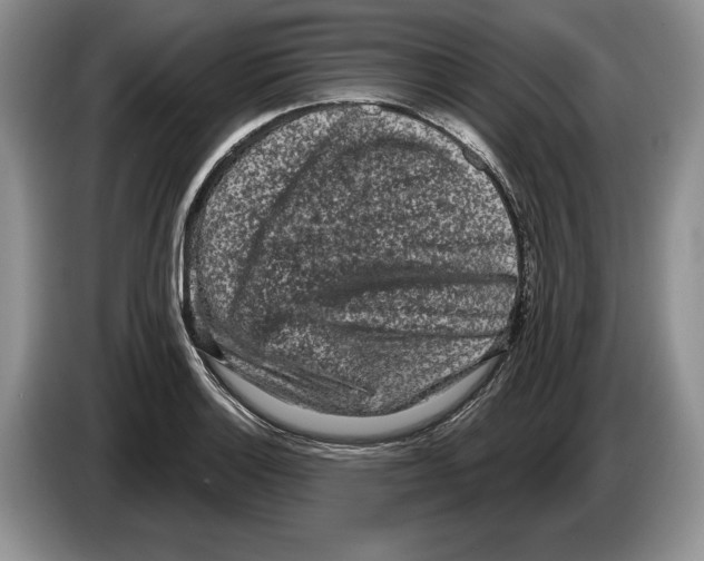 X0000086271132200704262011