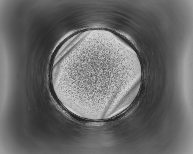 X0000086271134200704262011