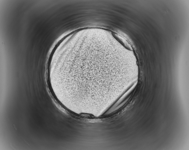 X0000086271136200704262011
