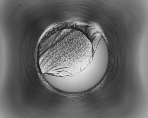 X0000086271138200704262011