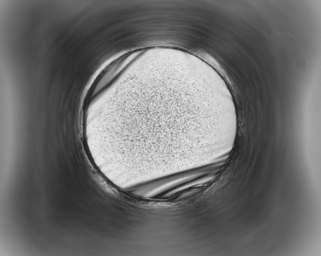 X0000086271140200704262011