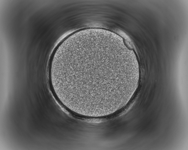 X0000086271141200704262011