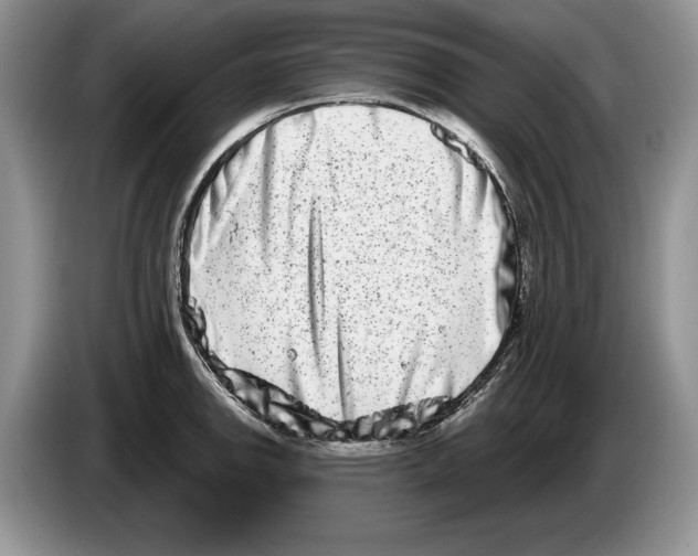 X0000086271142200704262011