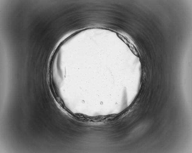 X0000086271143200704262011