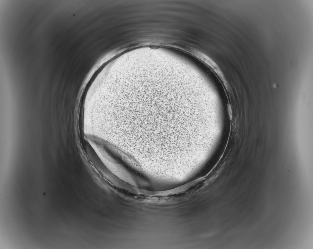 X0000086271146200704262011