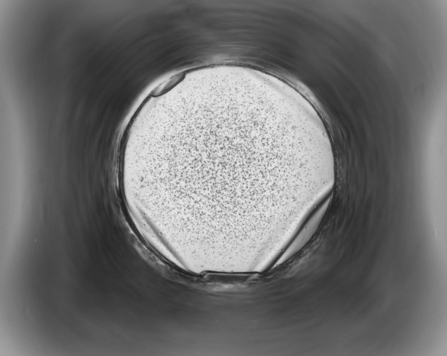 X0000086271148200704262011
