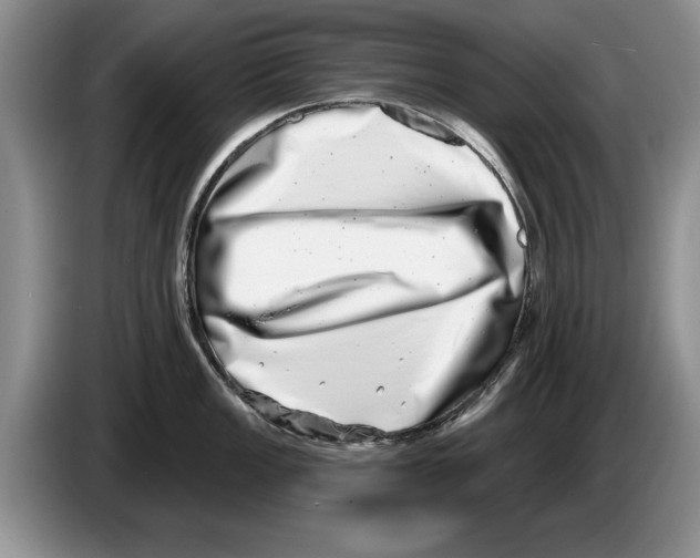 X0000086271149200704262011