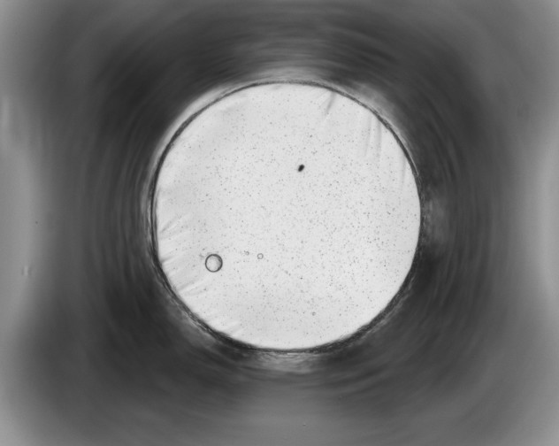 X0000086271150200704262011