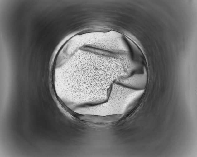 X0000086271152200704262011