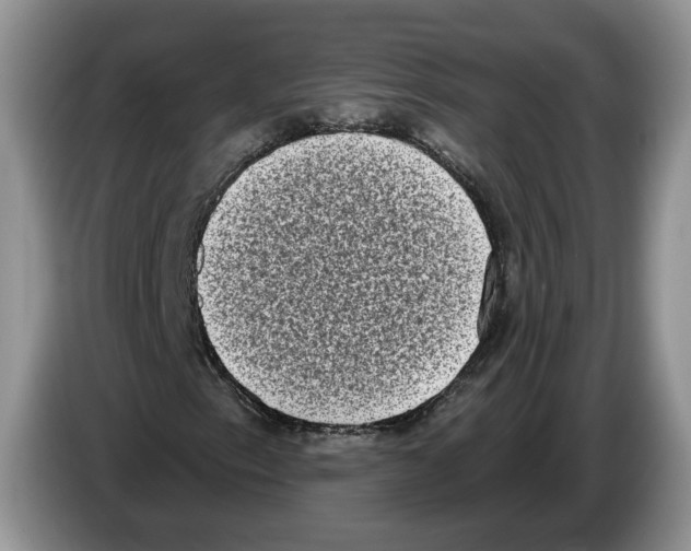 X0000086271153200704262010