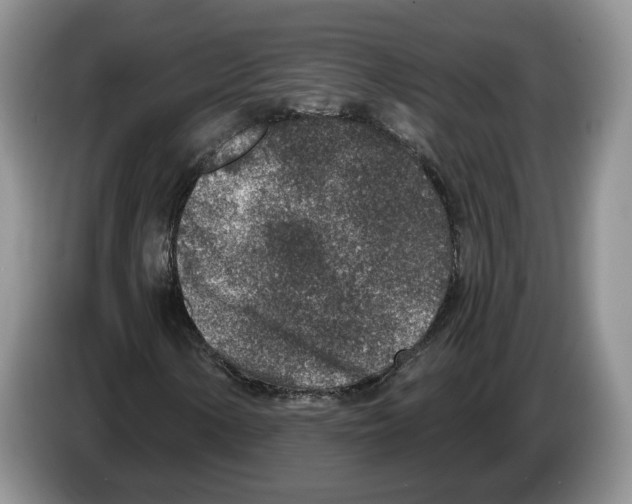 X0000086271154200704262010