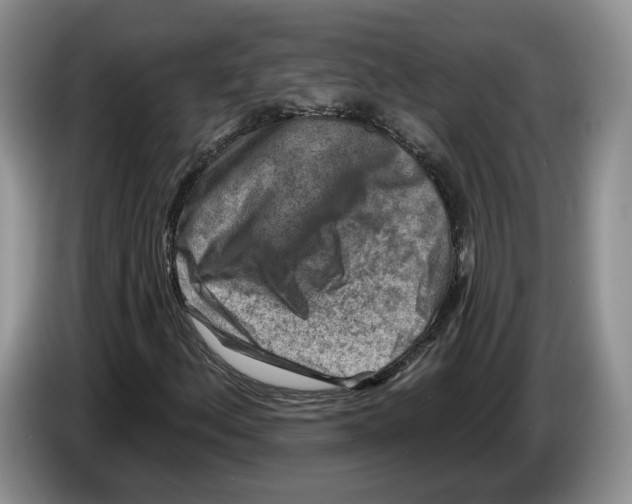X0000086271156200704262010