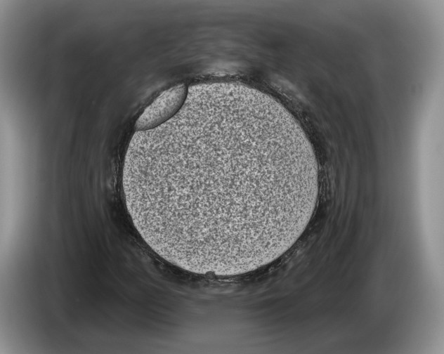 X0000086271158200704262010