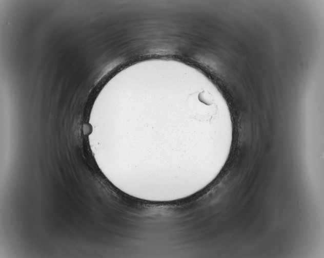 X0000086271162200704262010