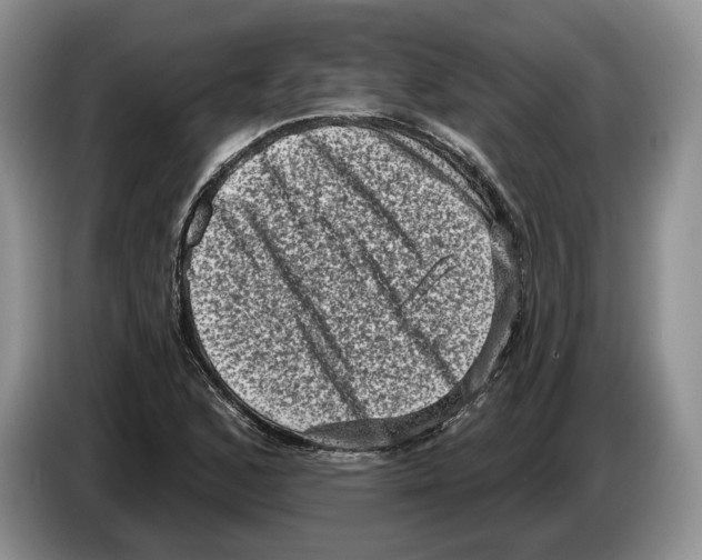 X0000086271168200704262010