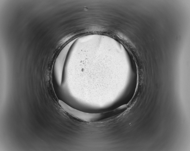 X0000086271169200704262010