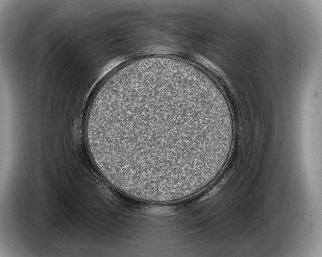 X0000086271170200704262010