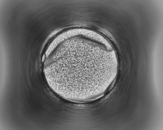 X0000086271172200704262010