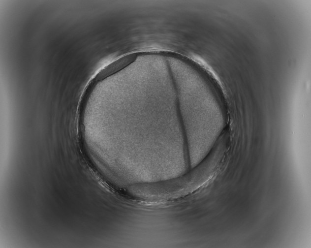 X0000086271173200704262010