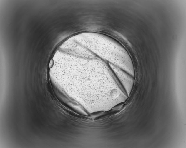 X0000086271174200704262010