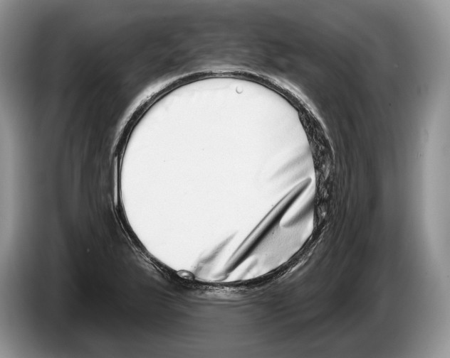 X0000086271175200704262010