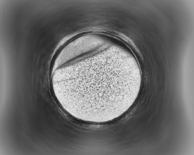 X0000086271176200704262010